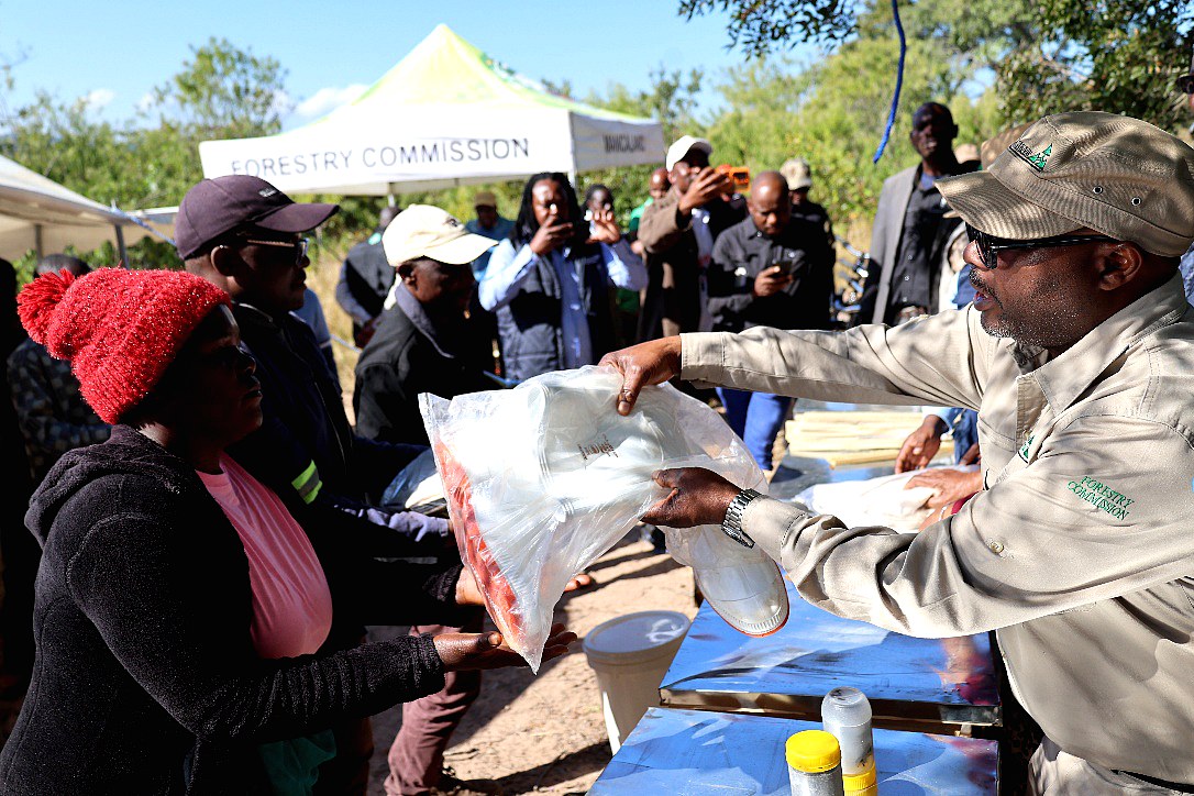 Community forestry projects transforming livelihoods