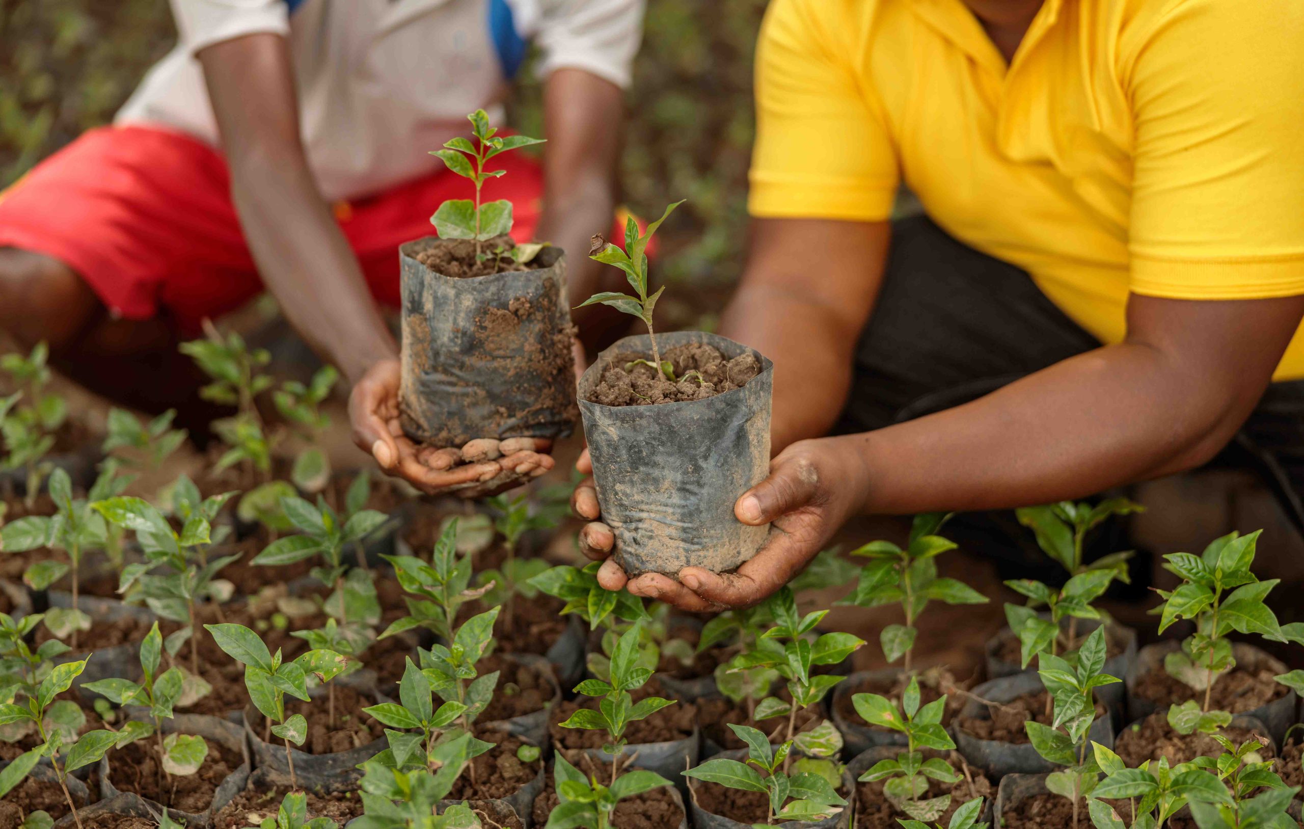 National Tree Planting Day 2026 a great success